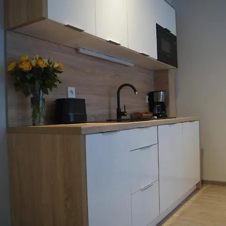 Διαμέρισμα Elvira, Grunwaldzka 12c