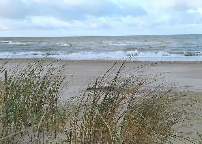 Elvira, Grunwaldzka 12c *