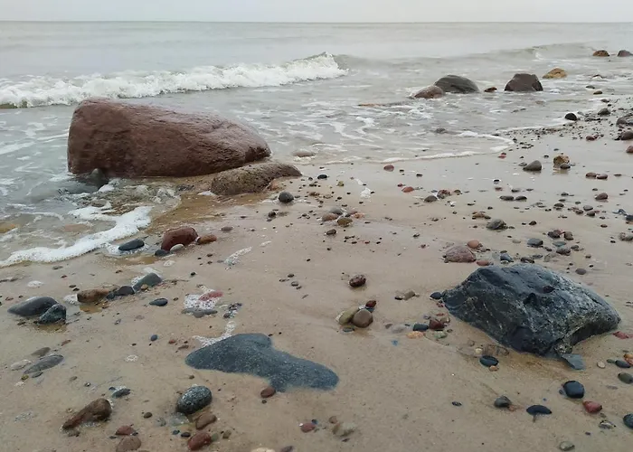 Elvira, Grunwaldzka 12c *